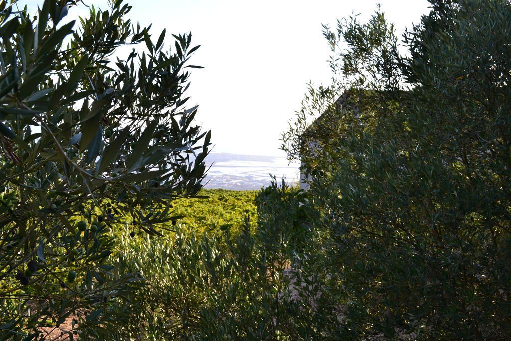 Casa Nel Vigneto Erice Pensionat Exteriör bild